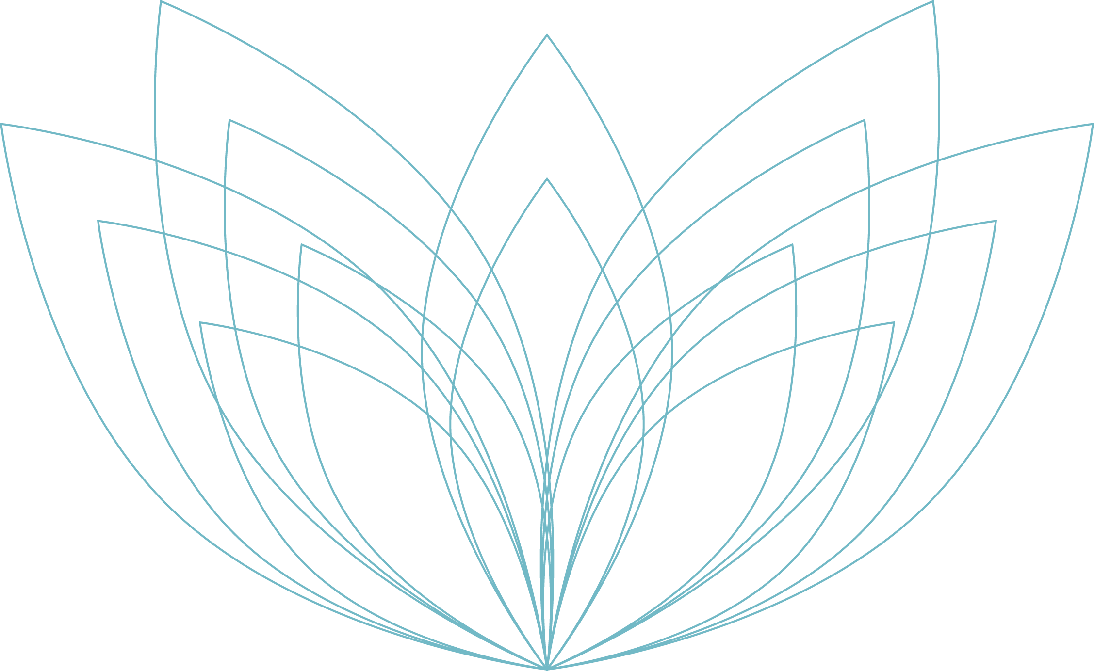 lotus outlines